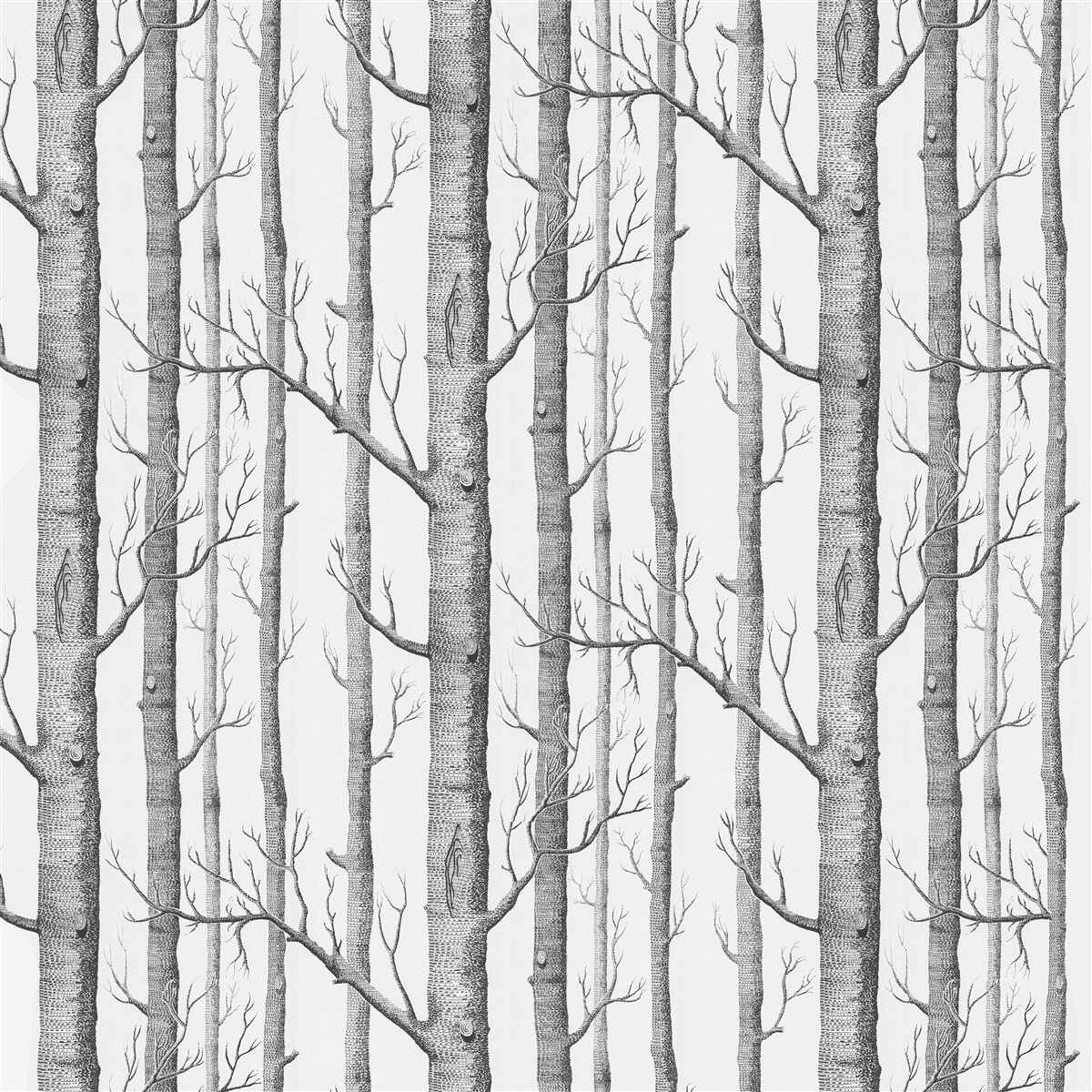 Papier peint arbres sans feuilles