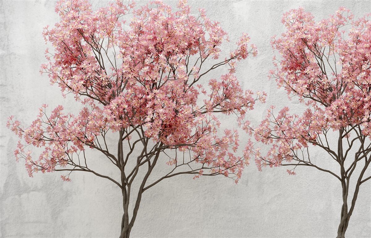 Papier peint la brume matinale entoure les fleurs roses de sakura