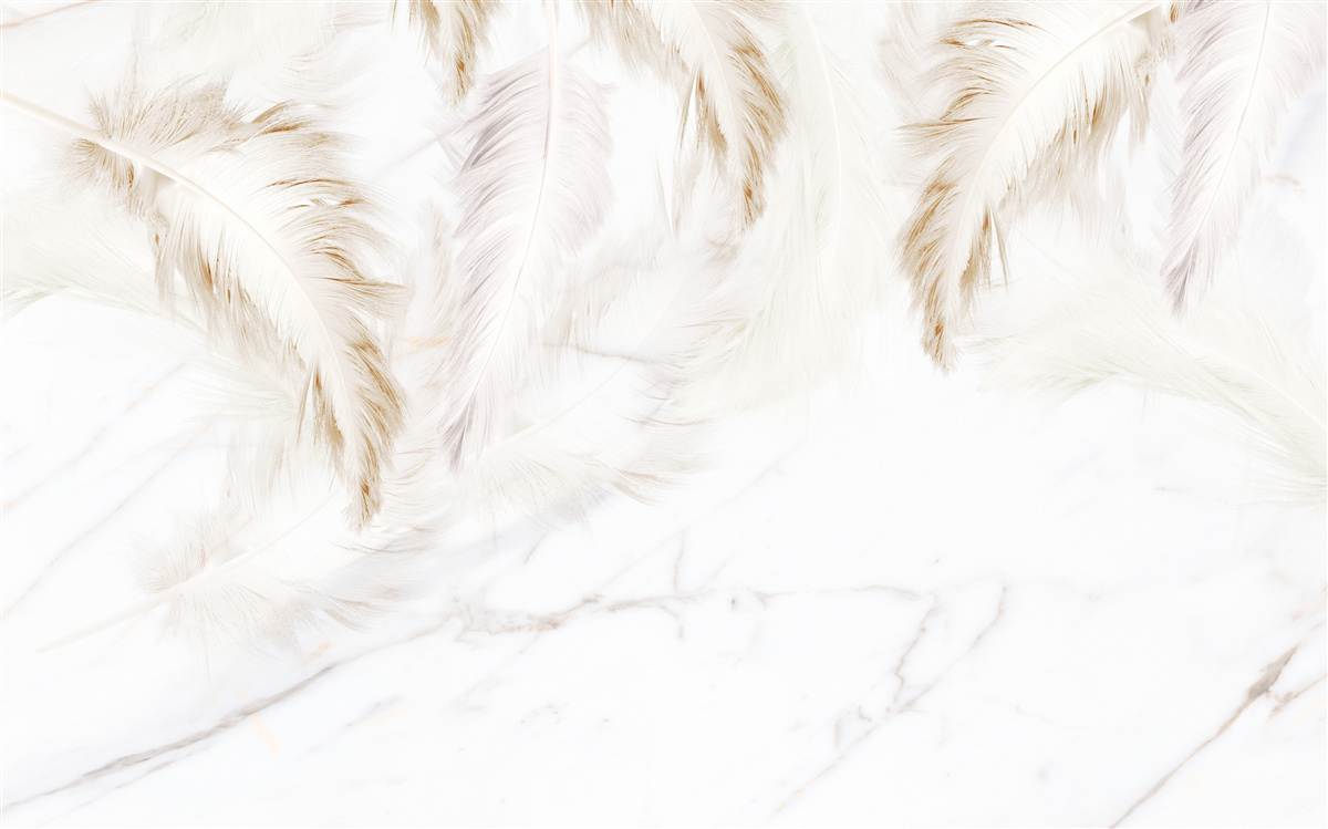 Papier peint fond clair avec des sections de plumes d'or