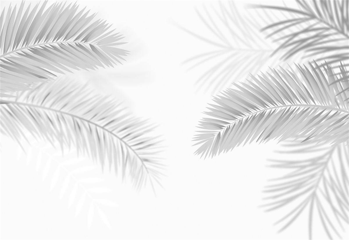 Papier peint feuilles de fougère en noir et blanc