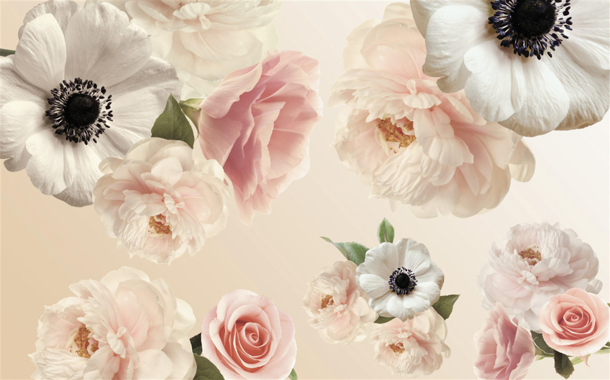 Papier peint rose rose avec coquelicot blanc