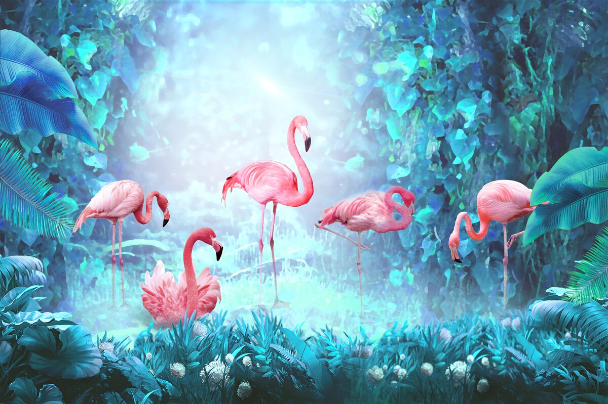 Papier peint flamants roses dans les eaux nocturnes