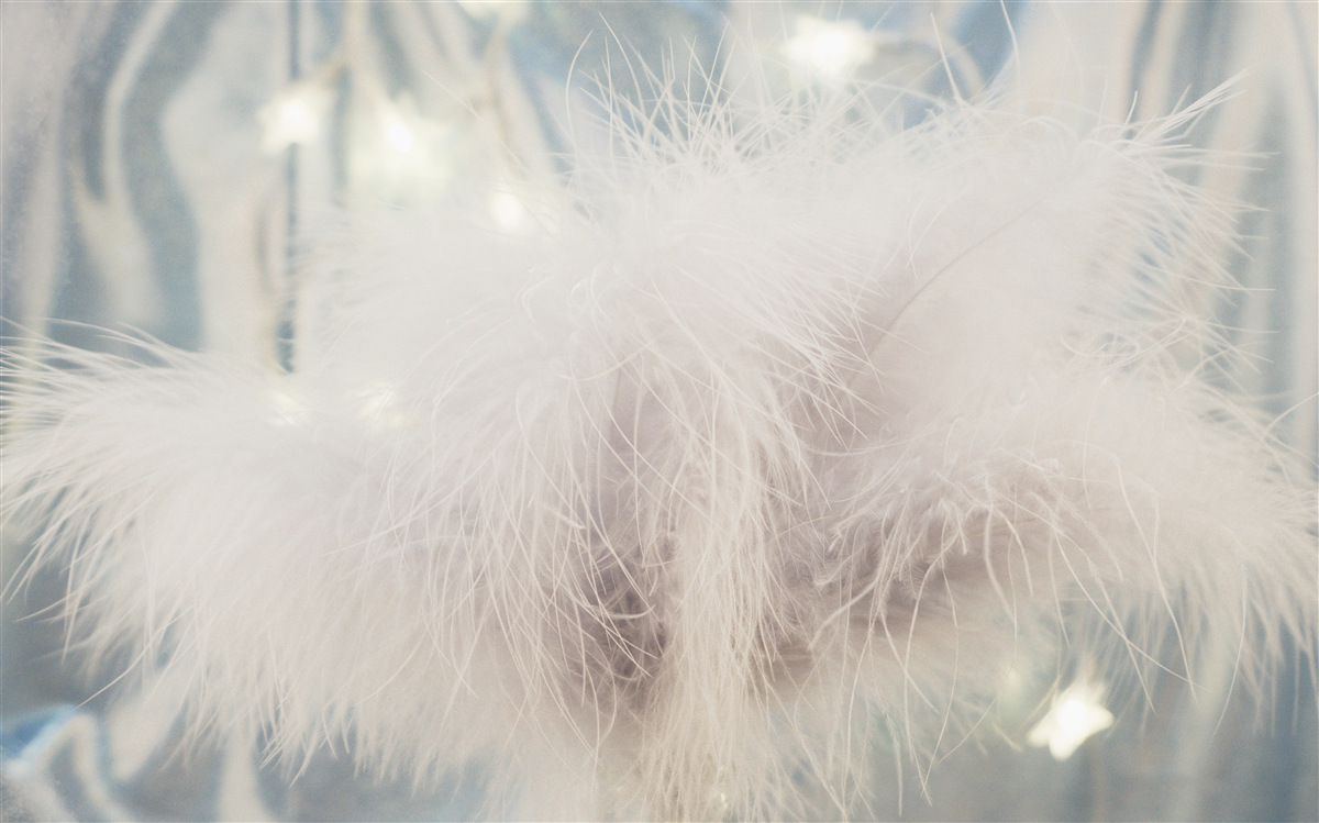 Papier peint duvet dense et léger