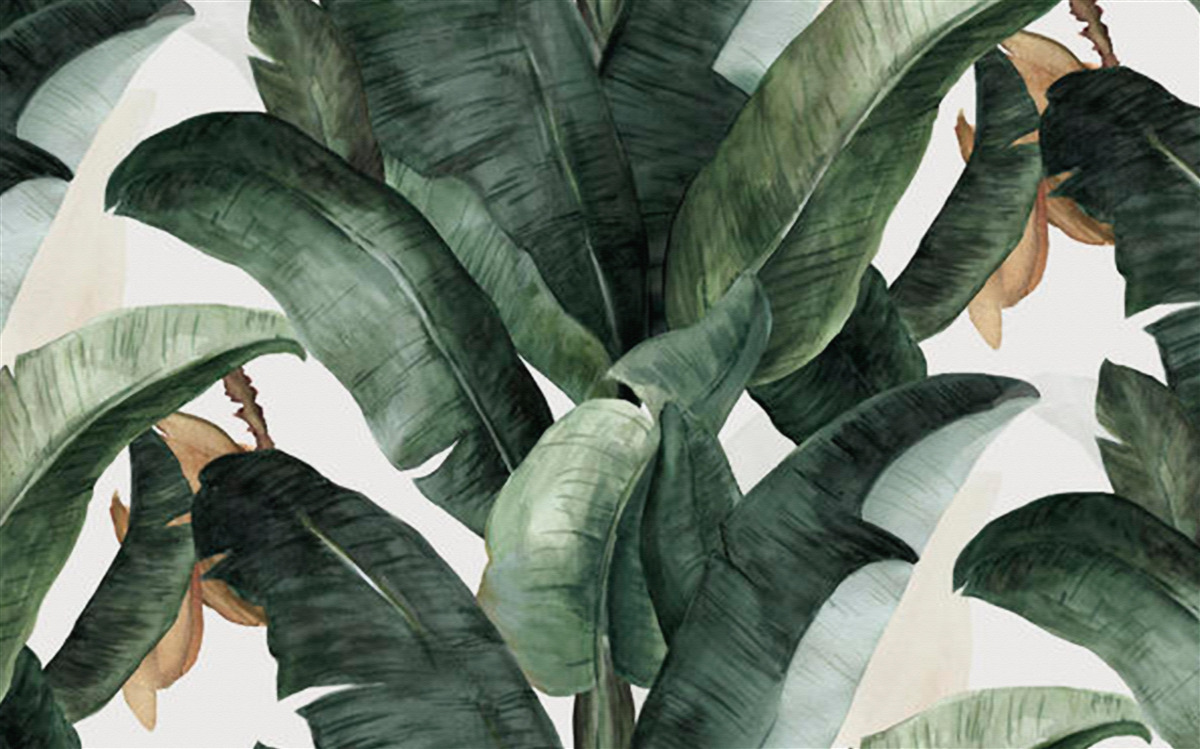 Papier peint grandes feuilles vertes foncées des régions tropicales