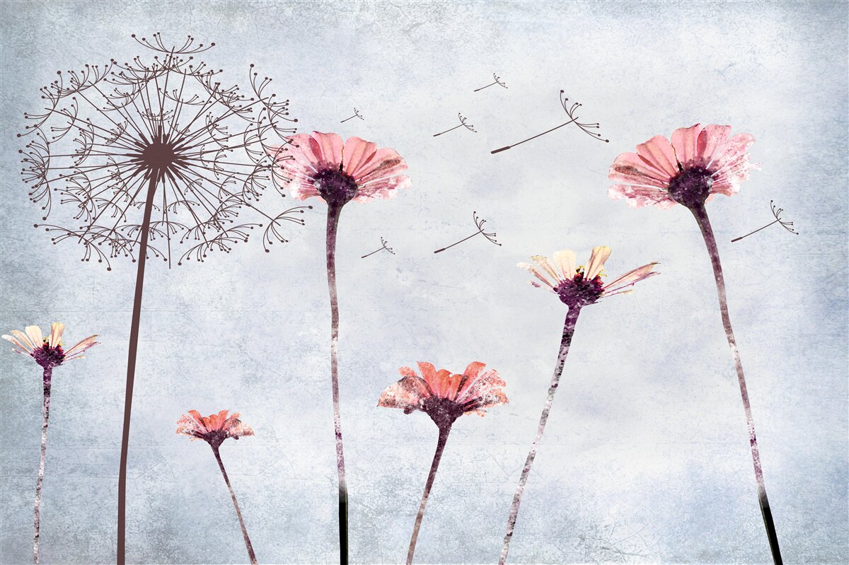 Papier peint coquelicots et gerberas sous de fortes rafales de vent