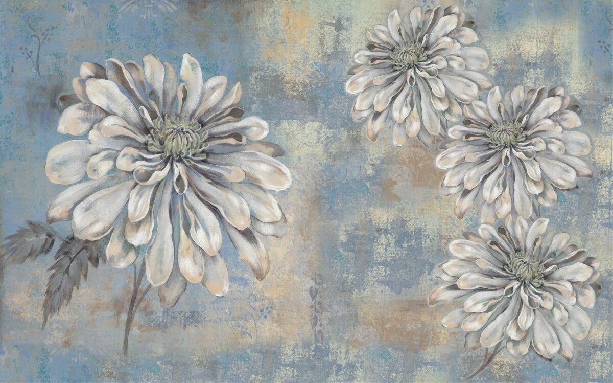 Papier peint des asters blancs comme neige, de la taille d'une pluie, se déversent à l'arrière-plan