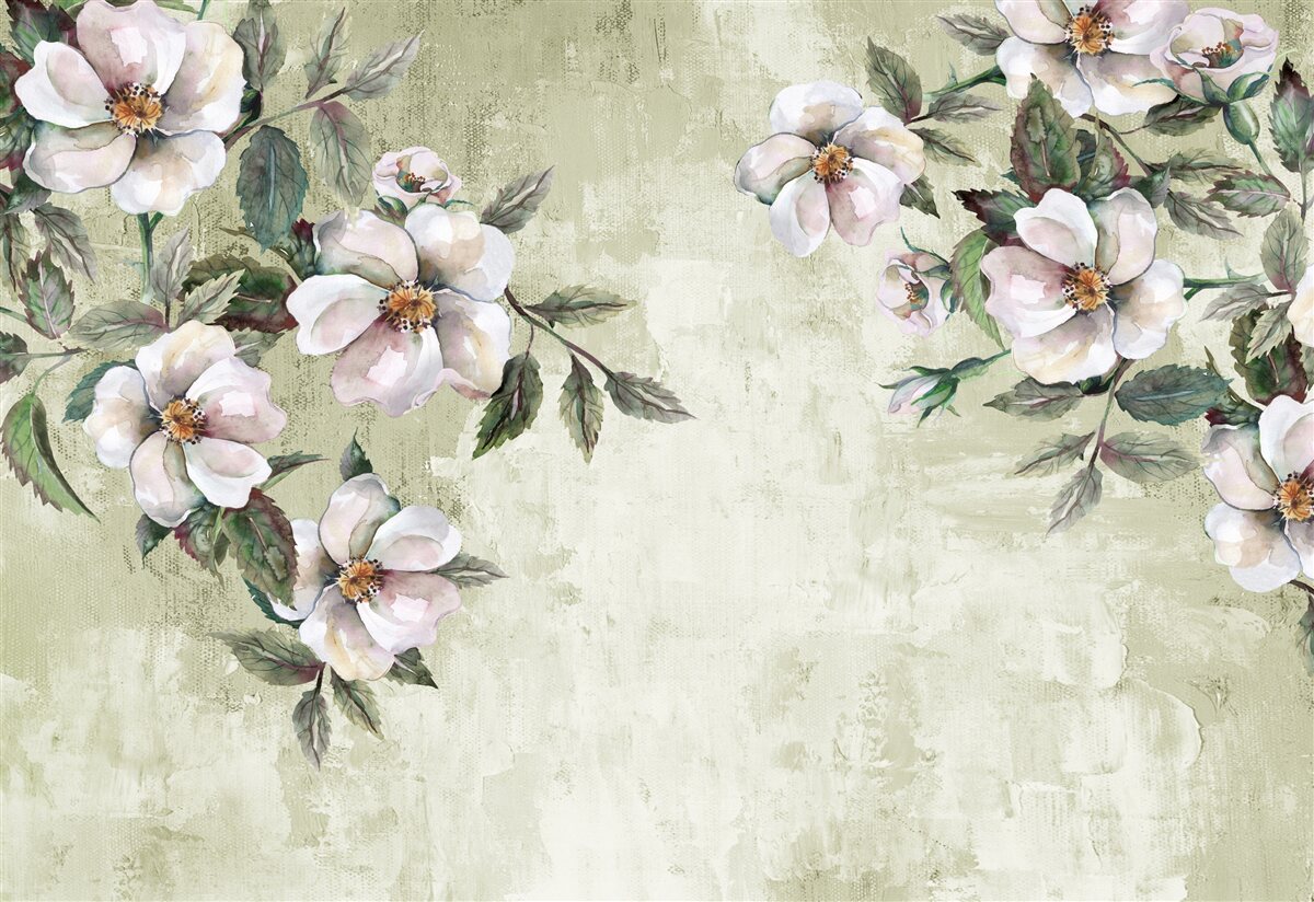 Papier peint les branches étendues du magnolia blanc comme neige