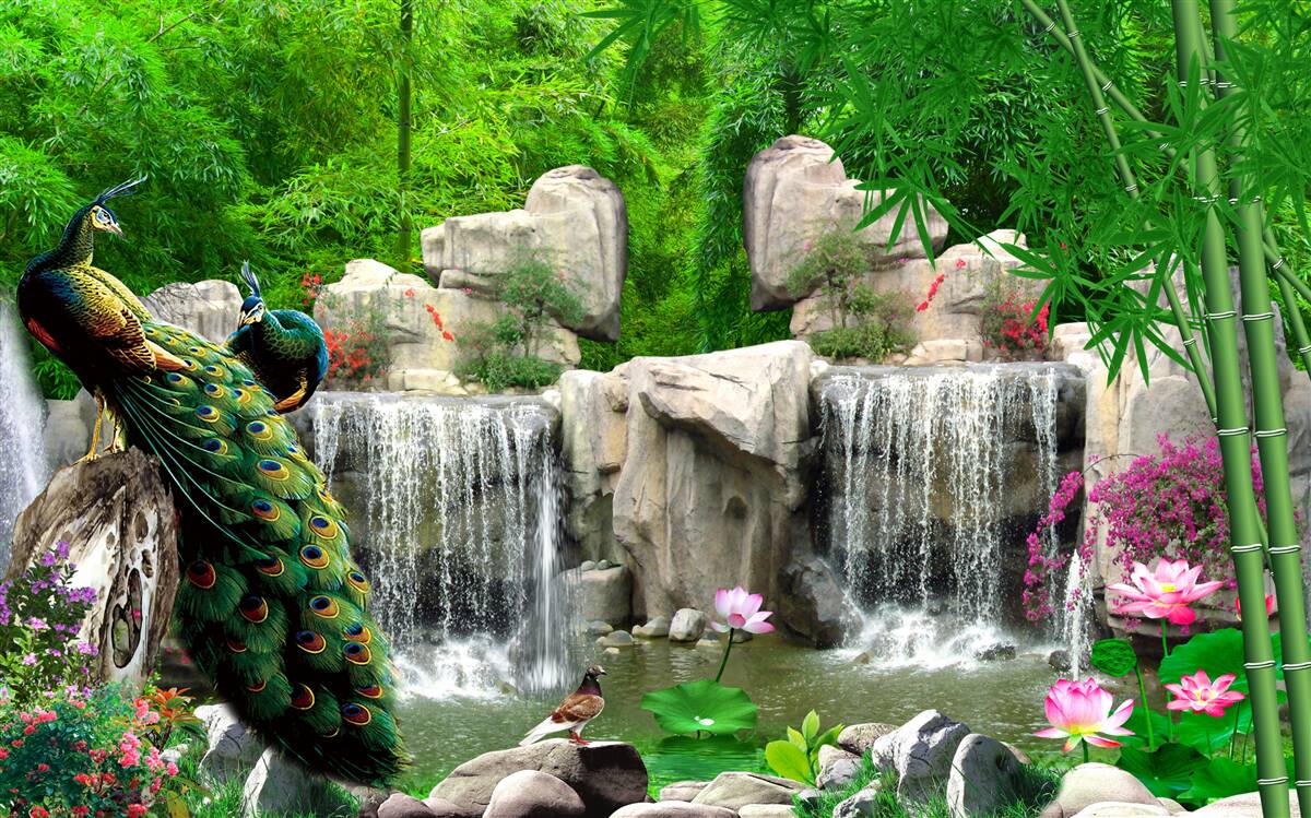 Papier peint des étangs tranquilles dans une forêt verdoyante