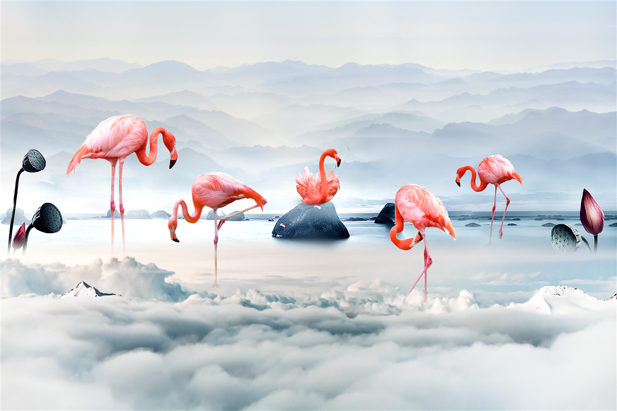 Papier peint flamant rose parmi les nuages
