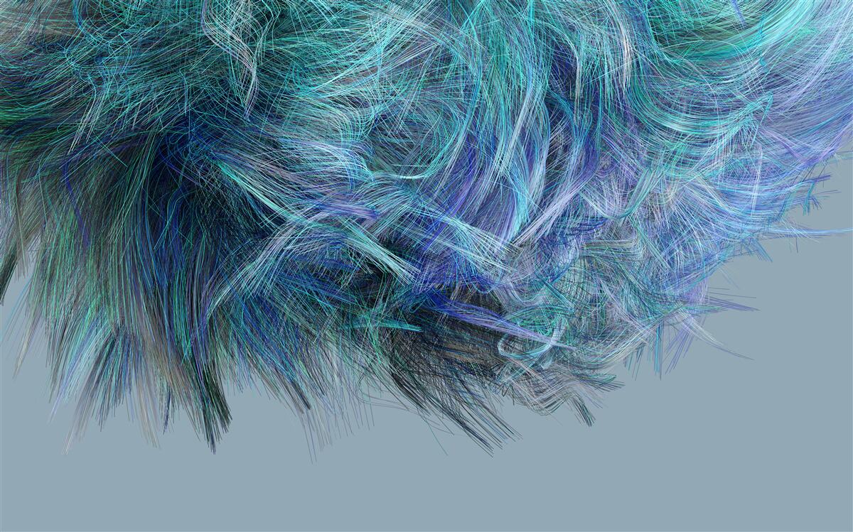 Papier peint bouquet insolite de plumes multicolores