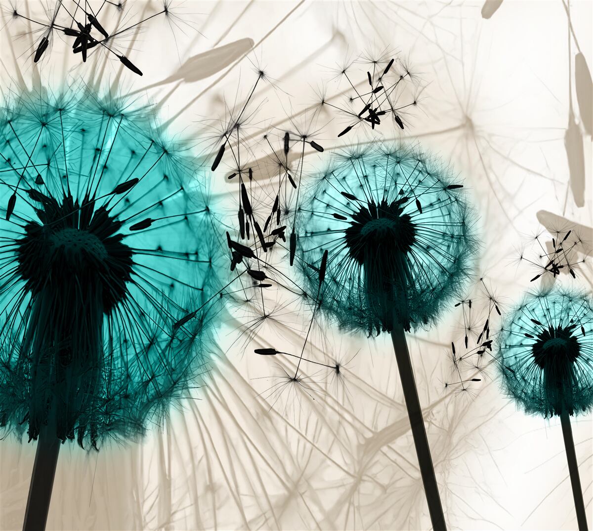 Papier peint gros plans de pissenlits