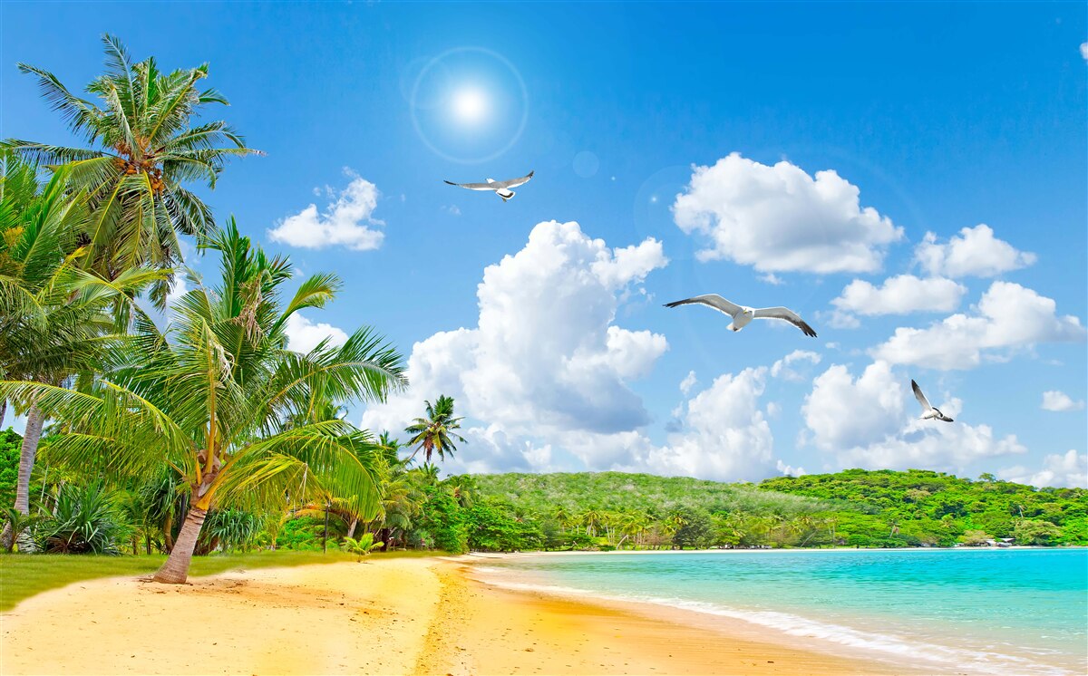 Papier peint la mer et la plage sont magnifiques