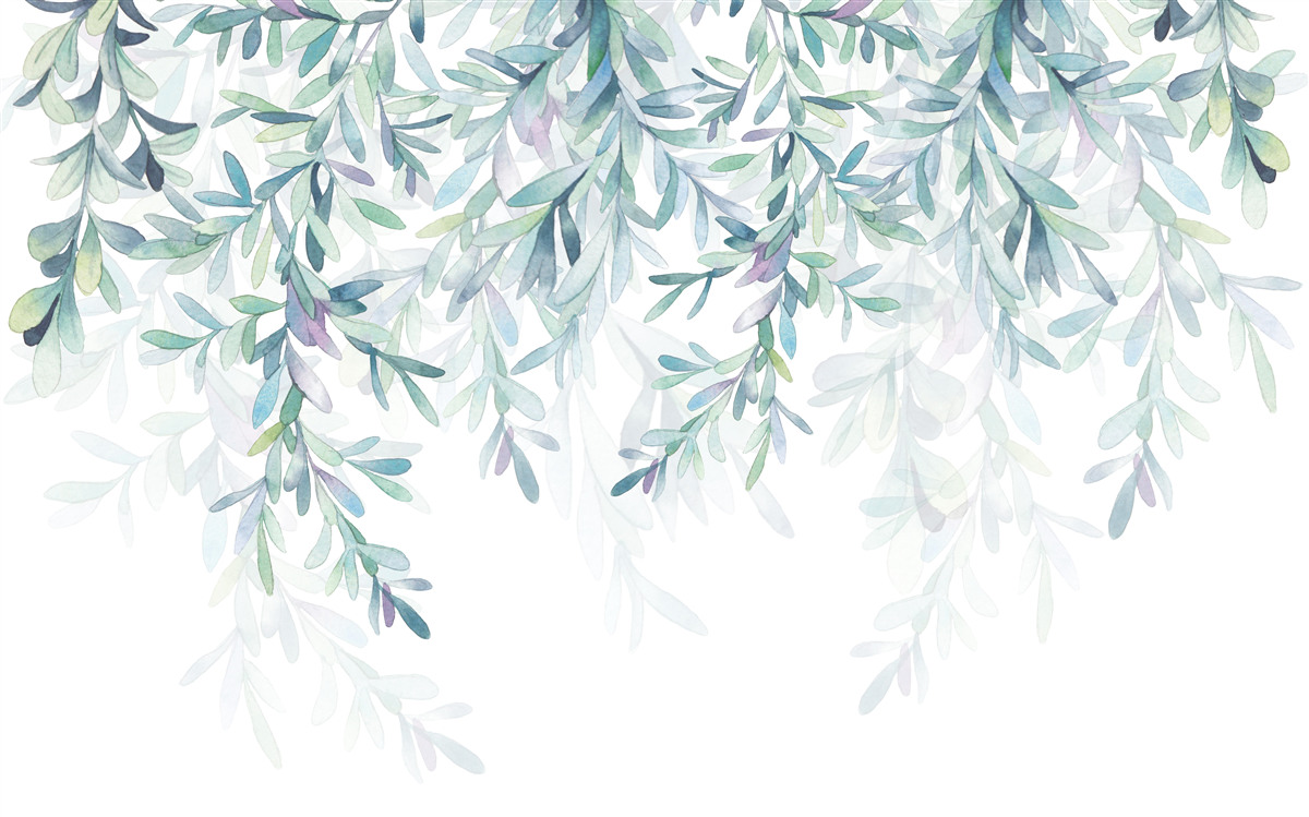 Papier peint les feuilles des branches deviennent vertes