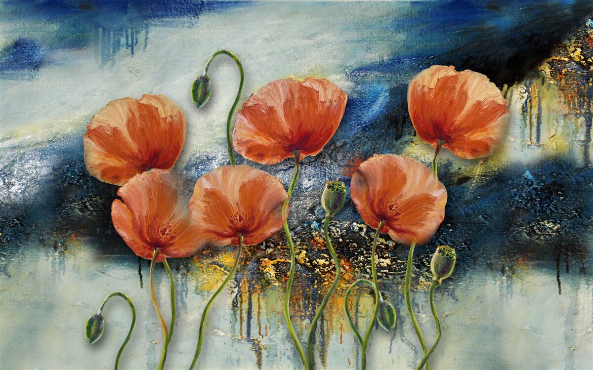 Papier peint une collection de gracieux pavots d'été écarlates