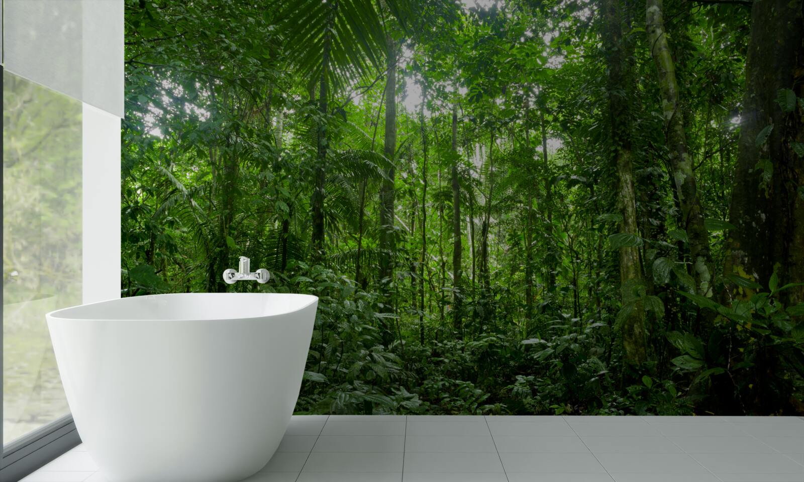 Papier peint paysage de forêt tropicale, amazonie