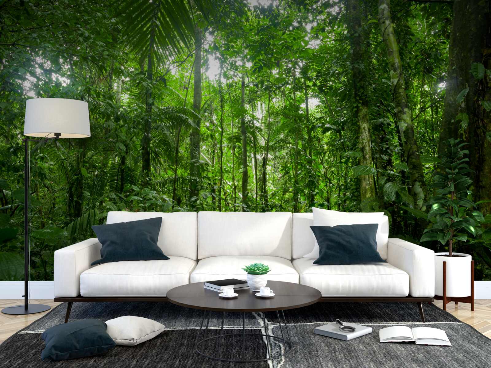 Papier peint paysage de forêt tropicale, amazonie