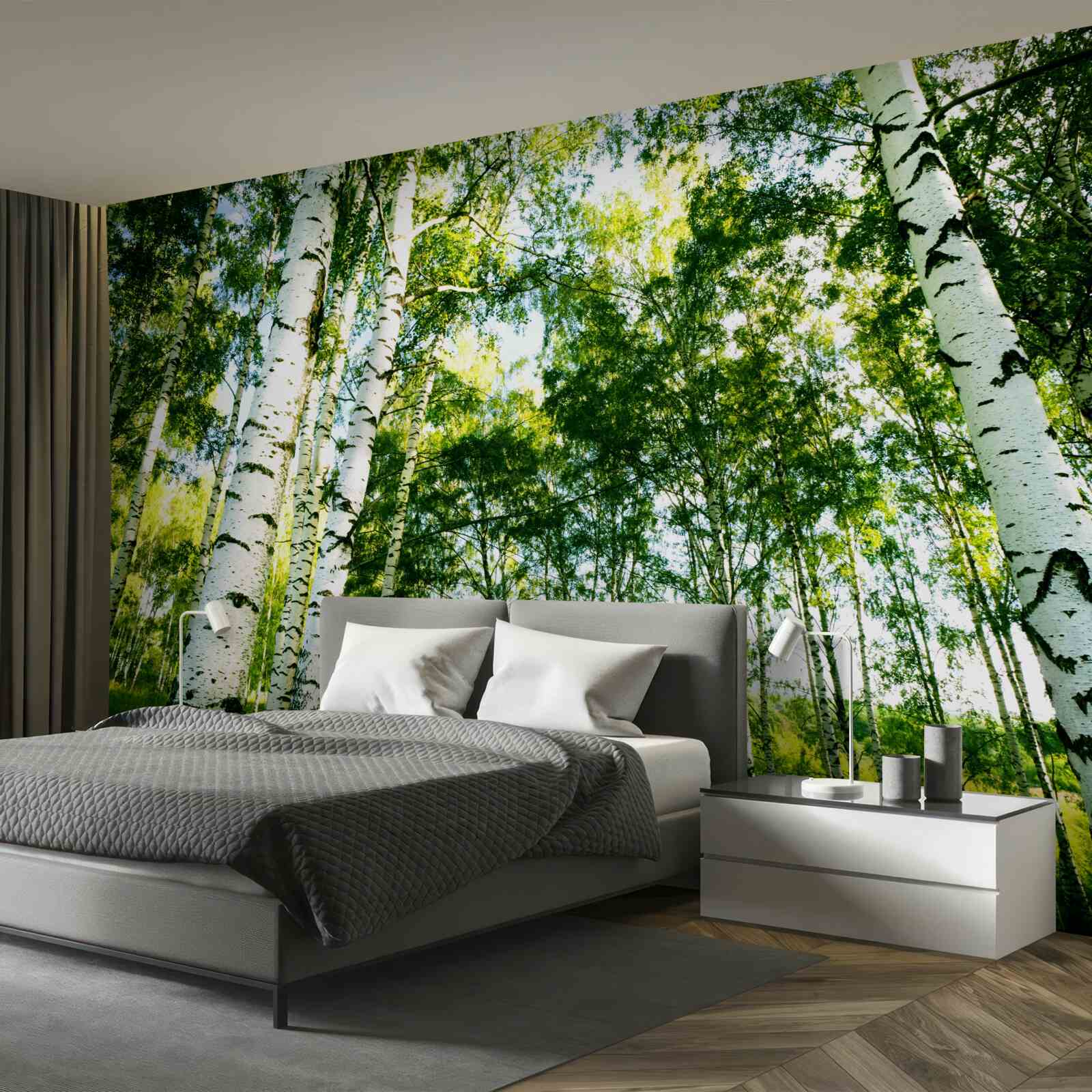 Papier peint forêt de bouleaux