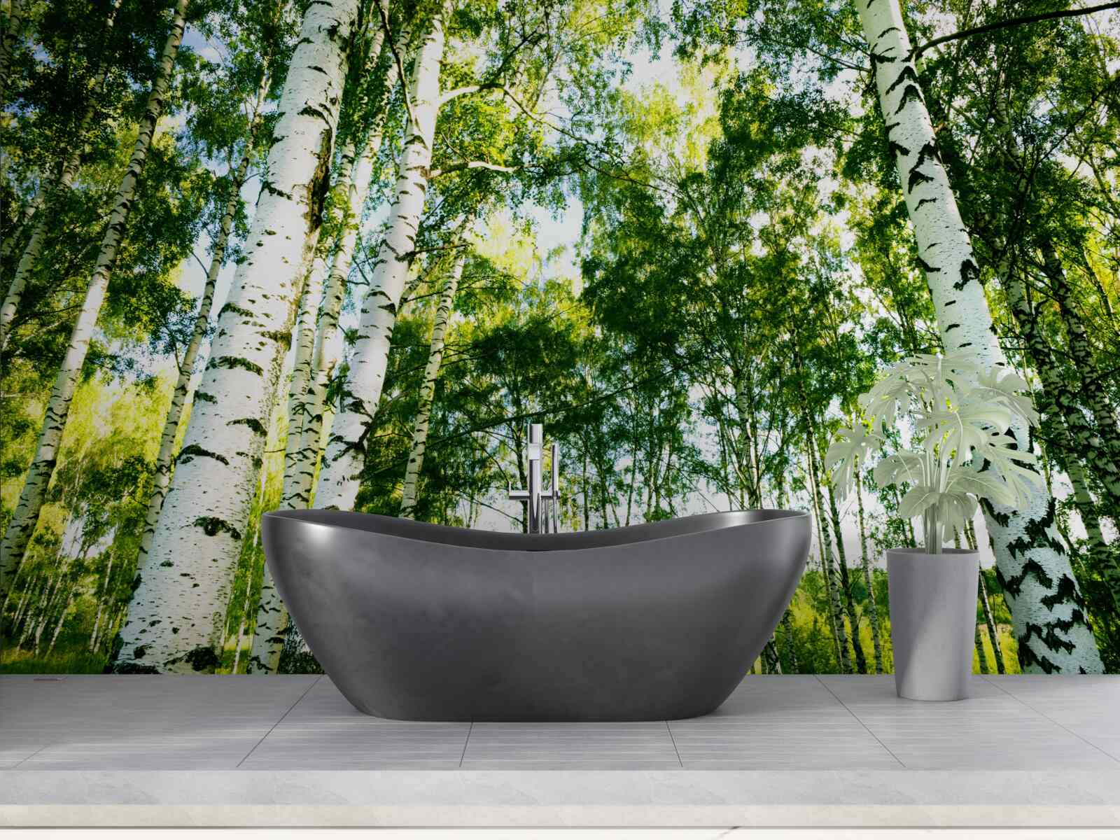 Papier peint forêt de bouleaux