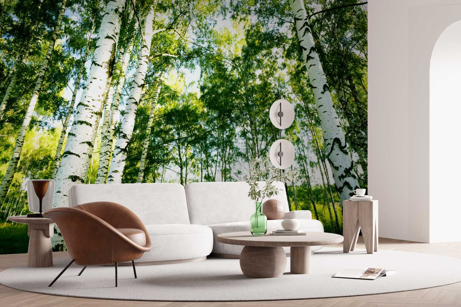 Papier peint forêt de bouleaux