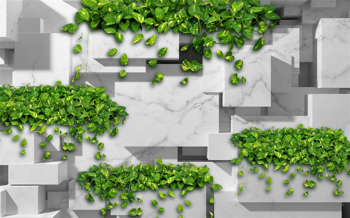 Papier peint pot avec fleurs, mur vert et plantes