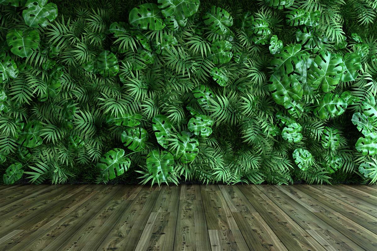 Papier peint vert, plantes et feuilles