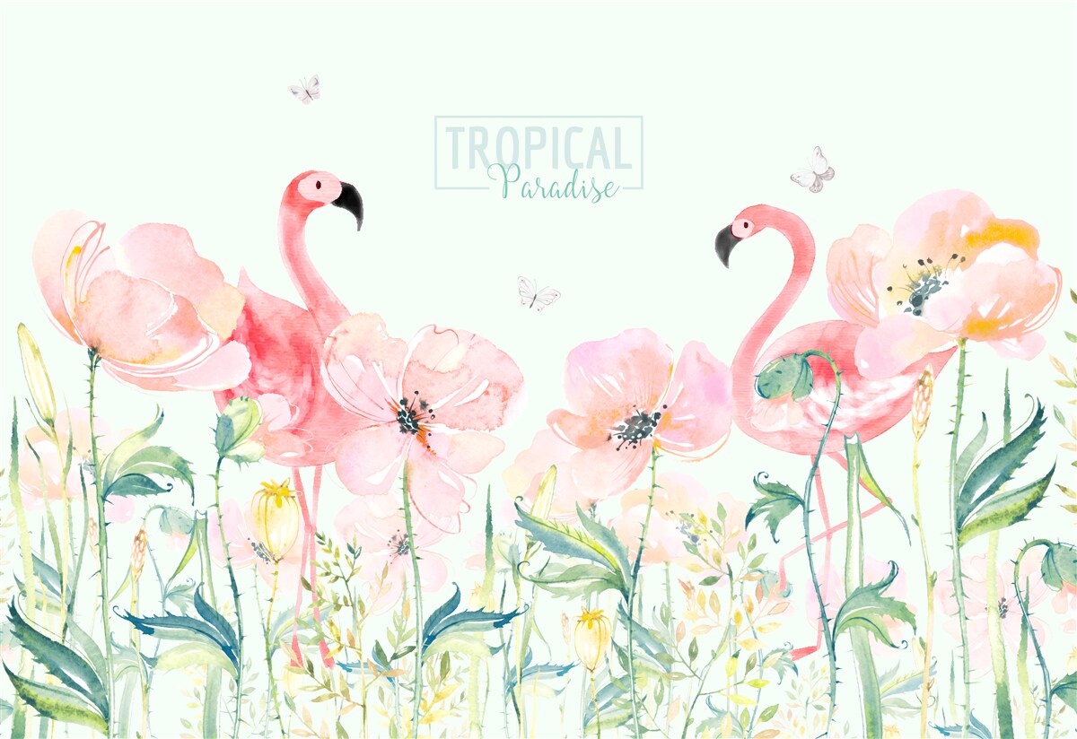 Papier peint Le flamant rose est une espèce d'oiseau qui peut nager