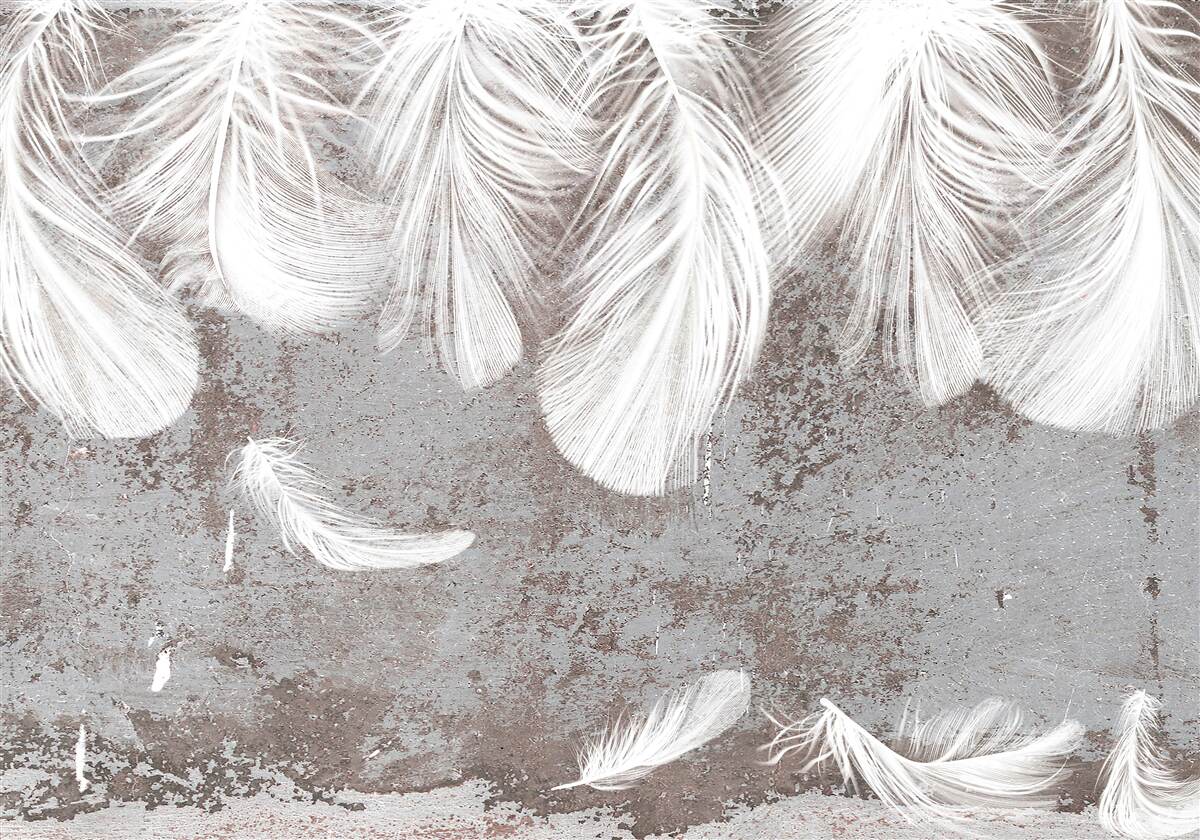 Papier peint plumes d'un blanc éclatant