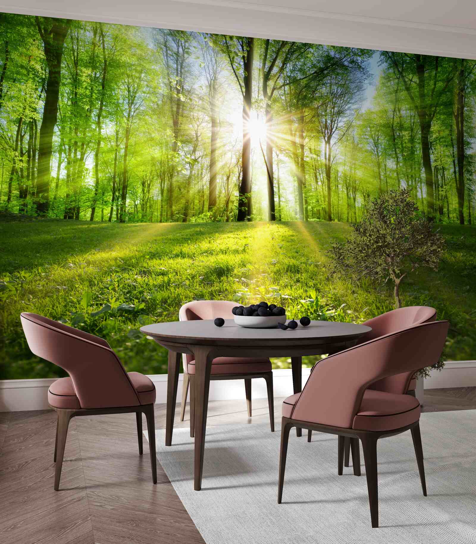 Papier peint les rayons du soleil pénètrent les arbres