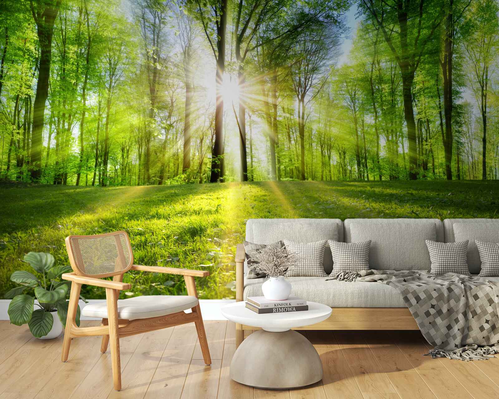 Papier peint les rayons du soleil pénètrent les arbres