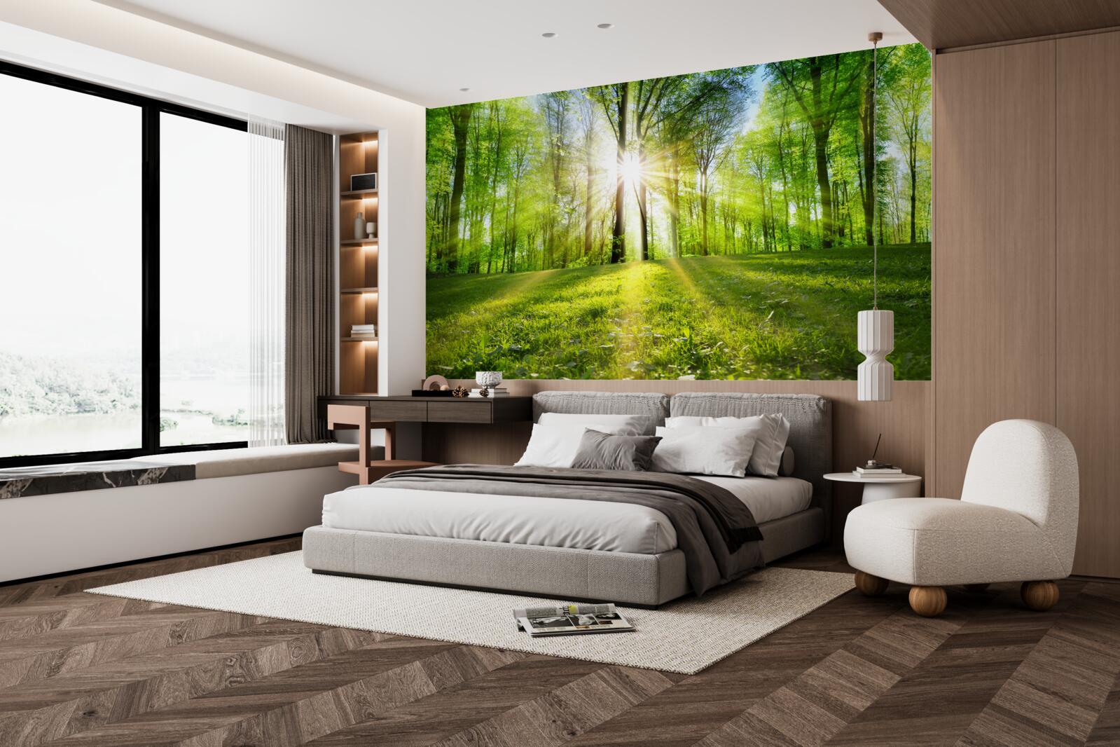 Papier peint les rayons du soleil pénètrent les arbres