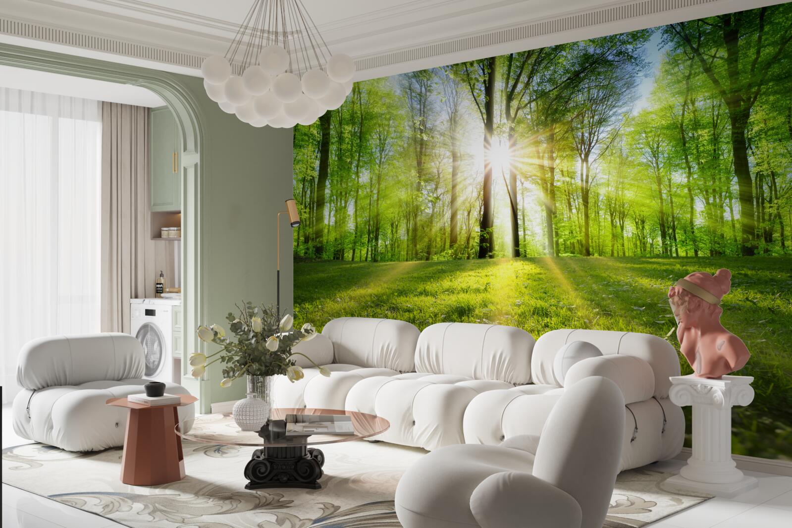 Papier peint les rayons du soleil pénètrent les arbres