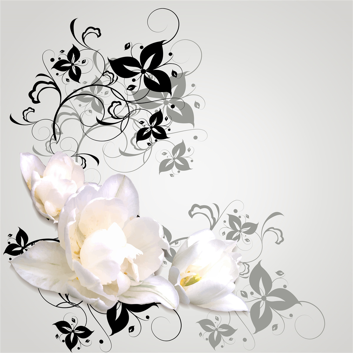 Papier peint un nénuphar aux feuilles sombres est représenté sur un fond gris