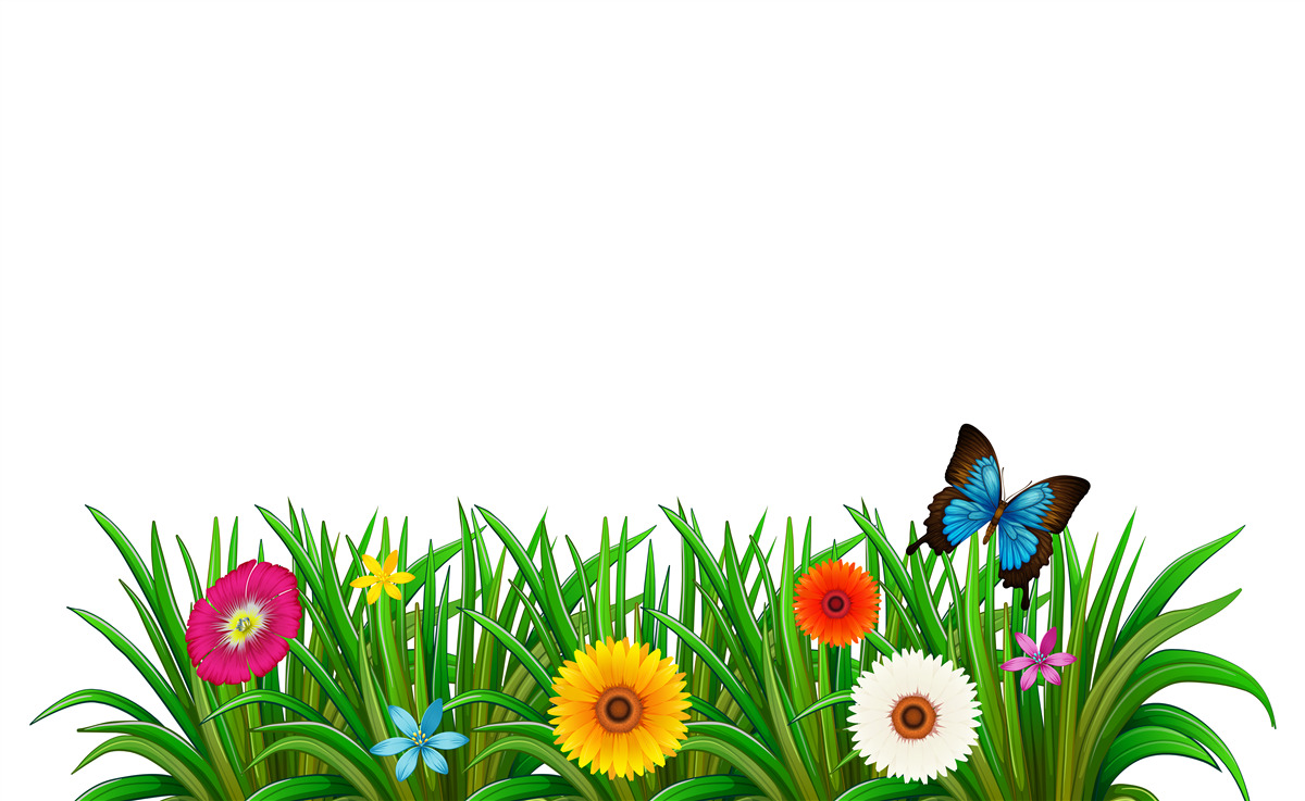 Papier peint papillon assis sur l'herbe avec des gerberas