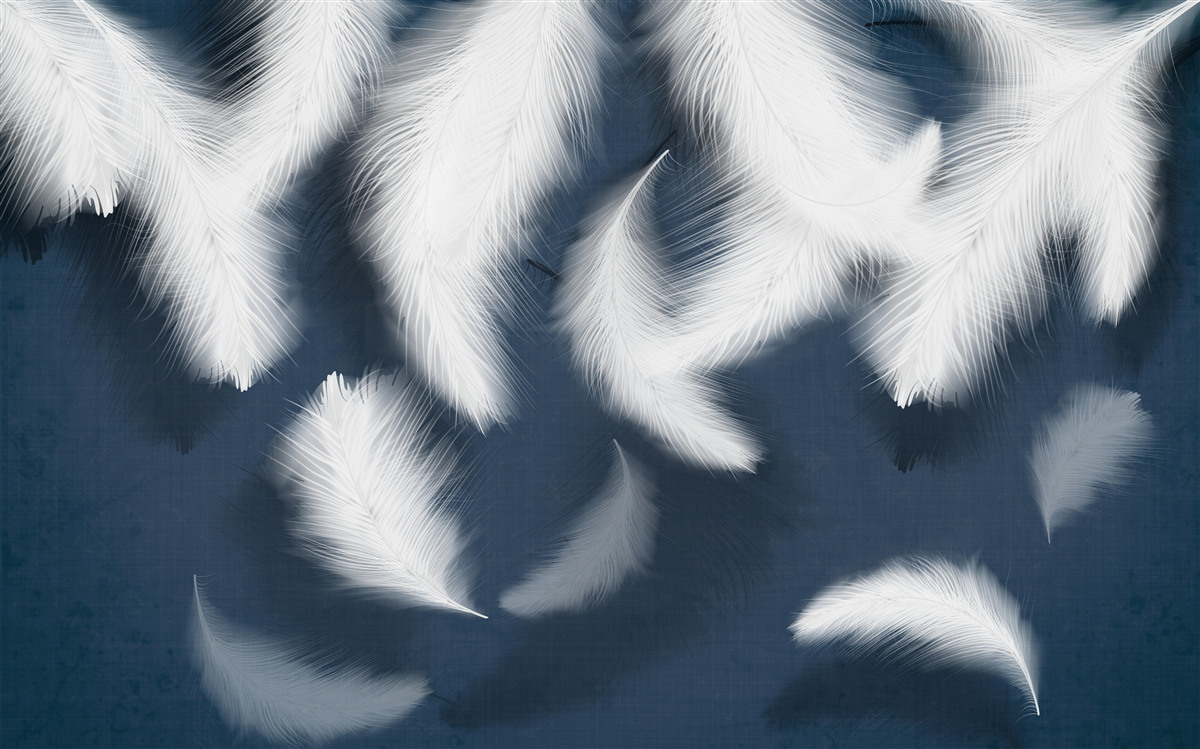 Papier peint des plumes qui semblent flotter dans l'air