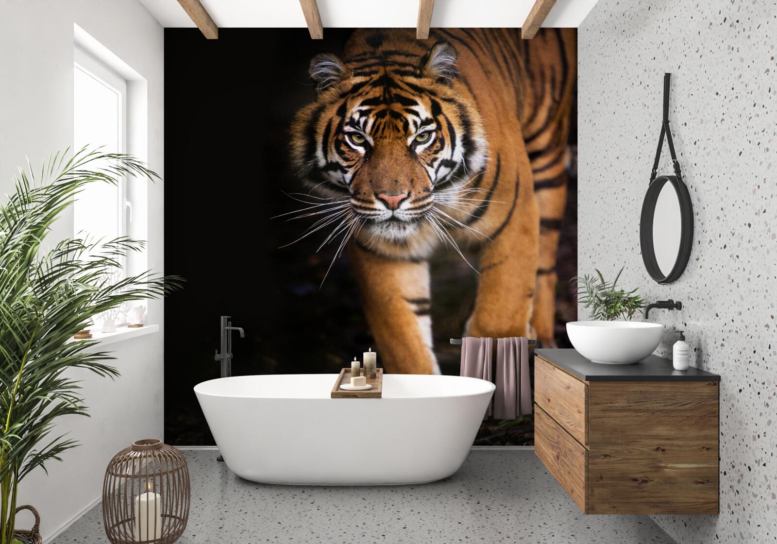 Papier peint le tigre passe inaperçu