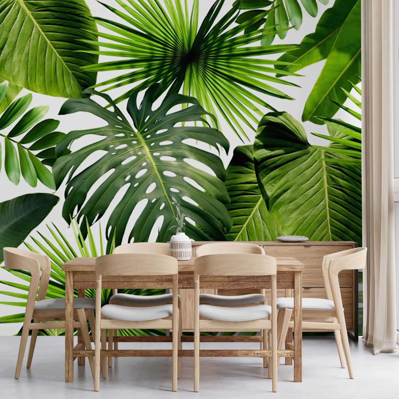 Papier peint les grandes feuilles vertes des plantes tropicales