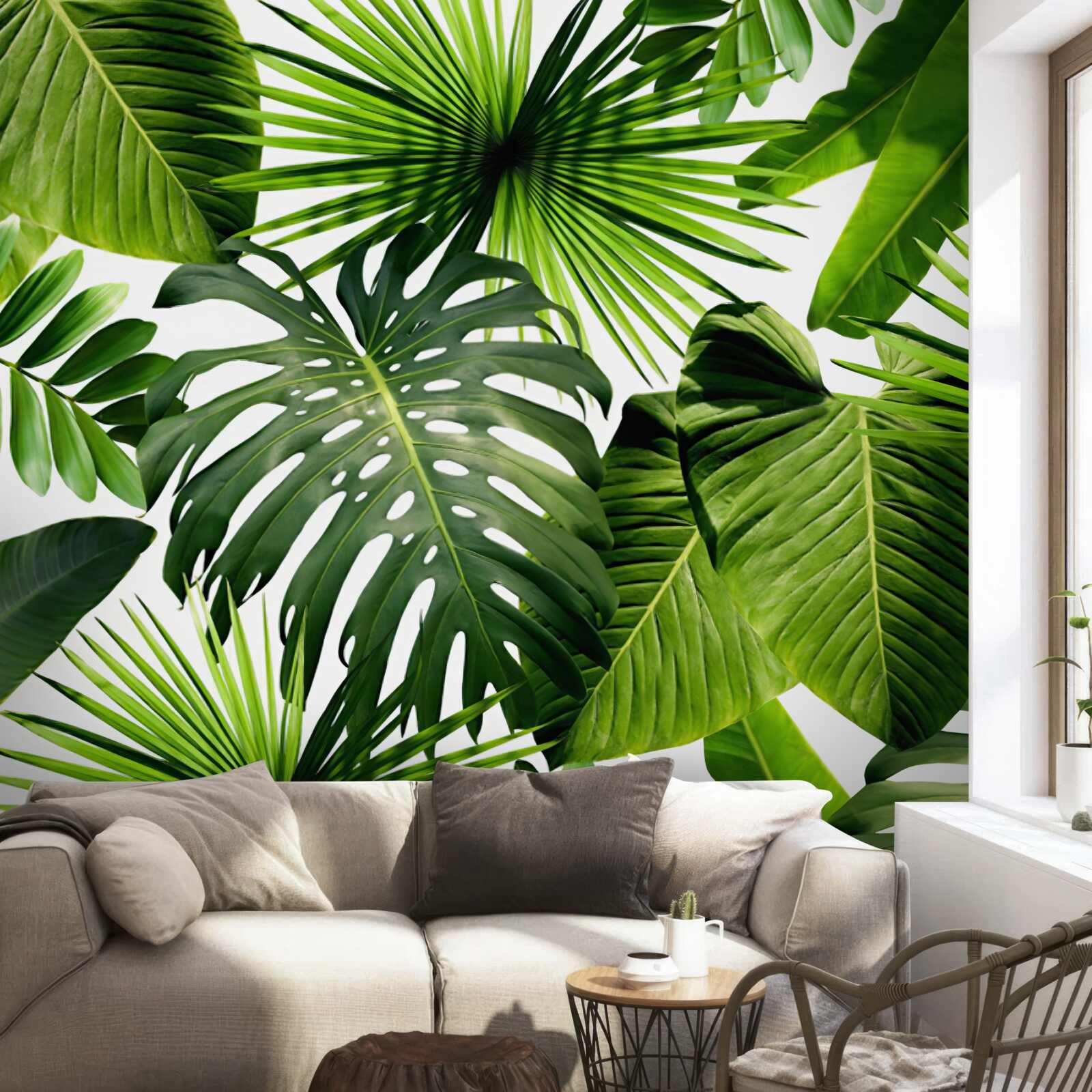 Papier peint les grandes feuilles vertes des plantes tropicales