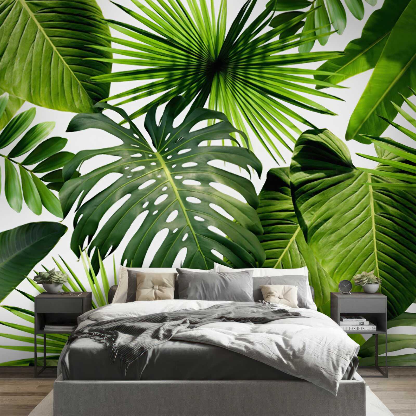 Papier peint les grandes feuilles vertes des plantes tropicales