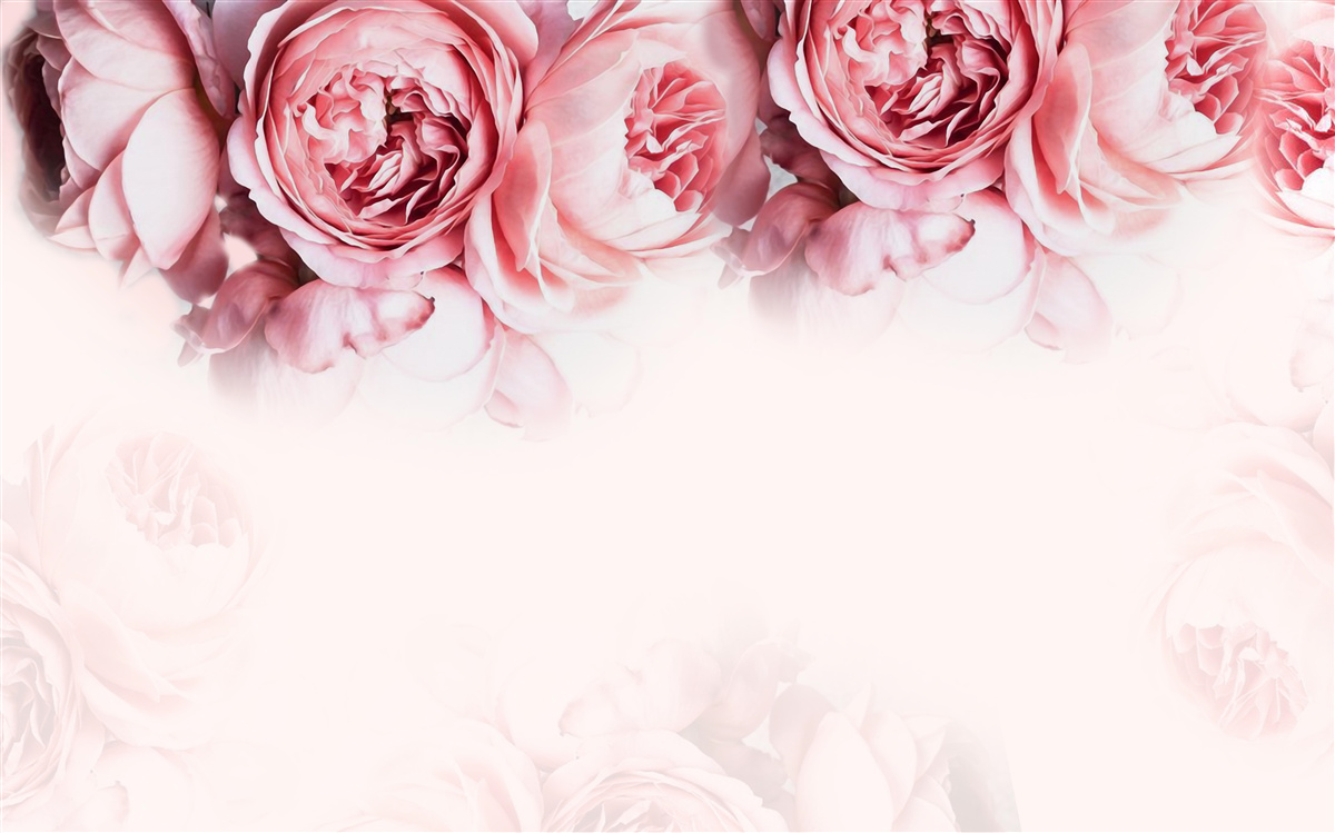 Papier peint pivoines roses et blanches sur fond clair