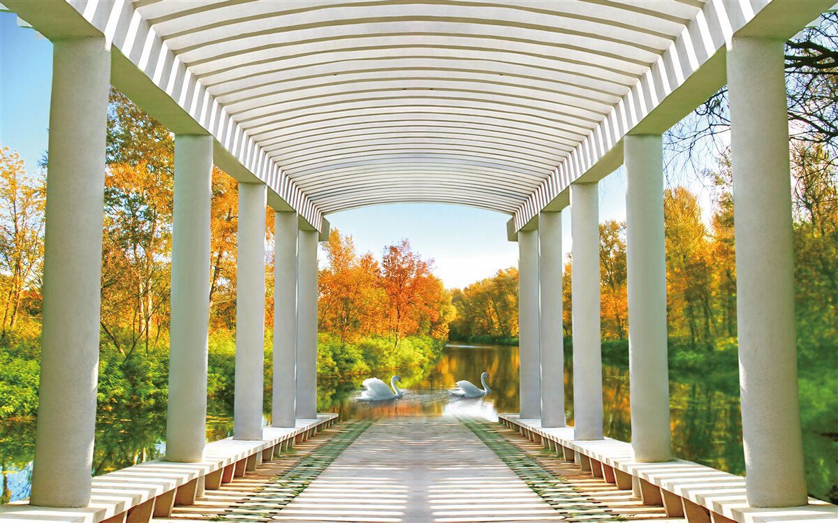Papier peint forêt en décoration d'automne sur fond panoramique