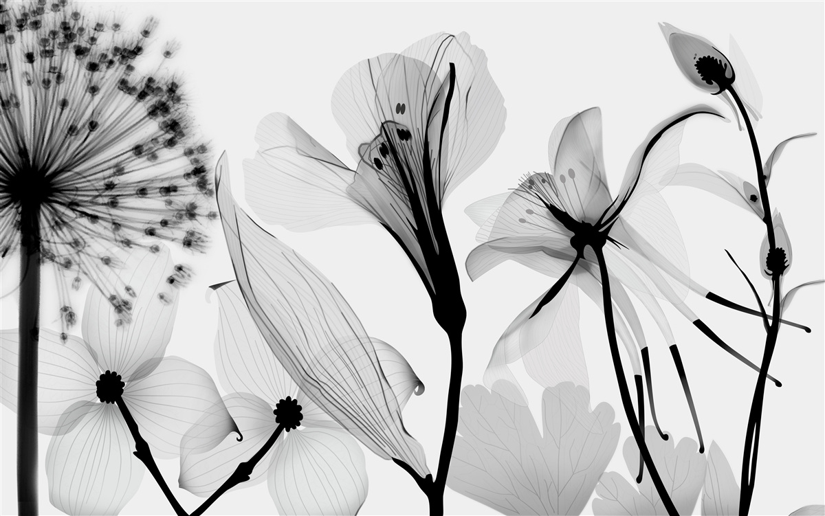 Papier peint chevreuil blanc sur fond clair