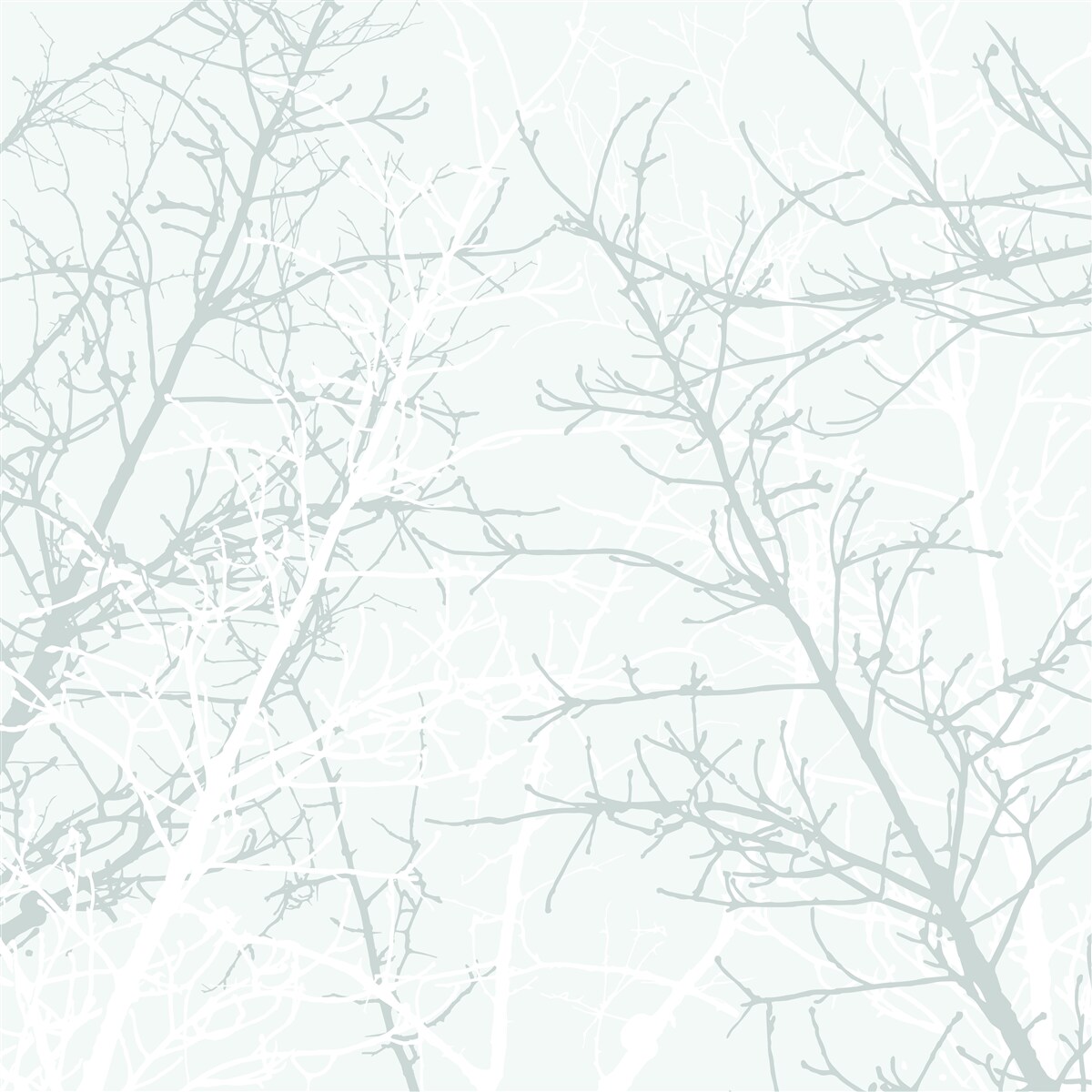 Papier peint l'éclaircissement des branches d'arbres en automne