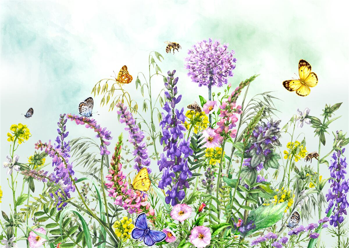 Papier peint plantes de prairie en été sous un ciel clair