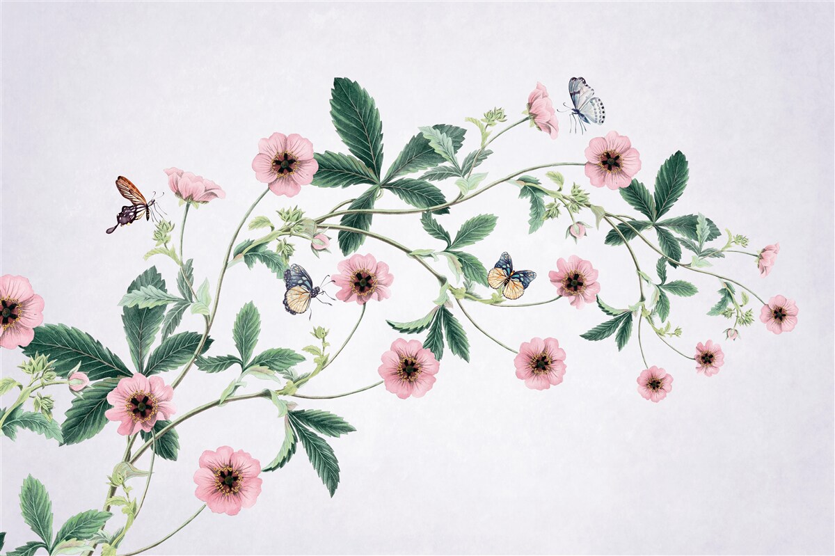 Papier peint bourgeons roses sur des branches sur fond gris