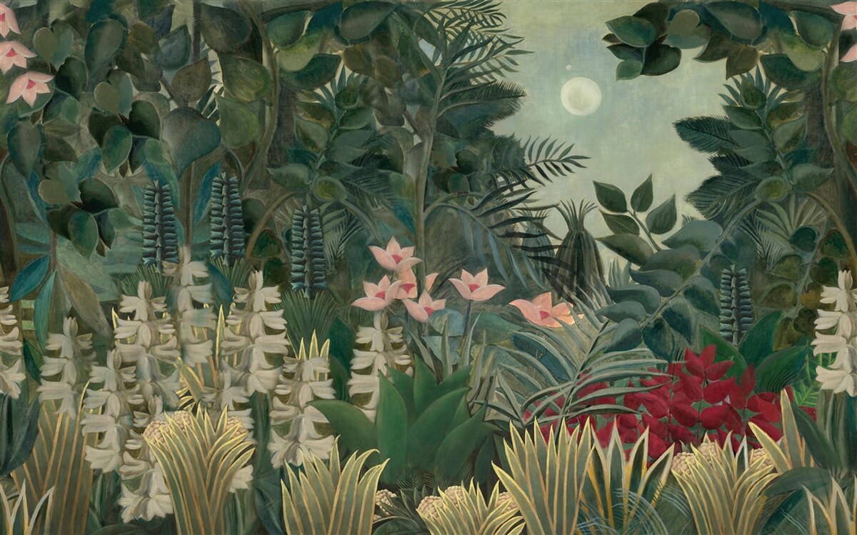 Papier peint la lune brille dans le ciel nocturne au-dessus de la forêt tropicale verte