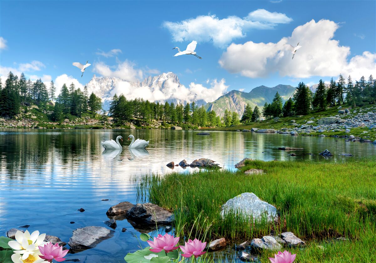 Papier peint journée d'été lacs calmes dans les montagnes