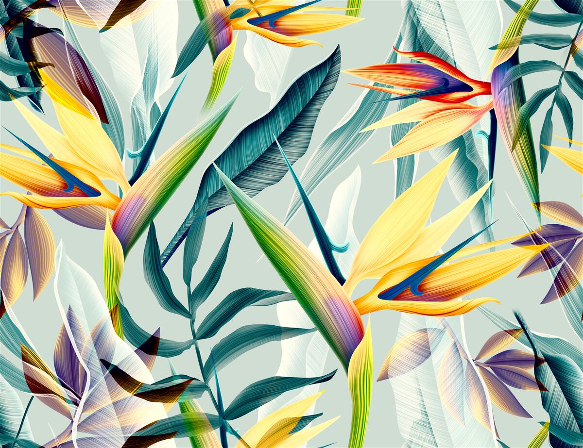 Papier peint Feuilles de différentes couleurs dans une forêt tropicale