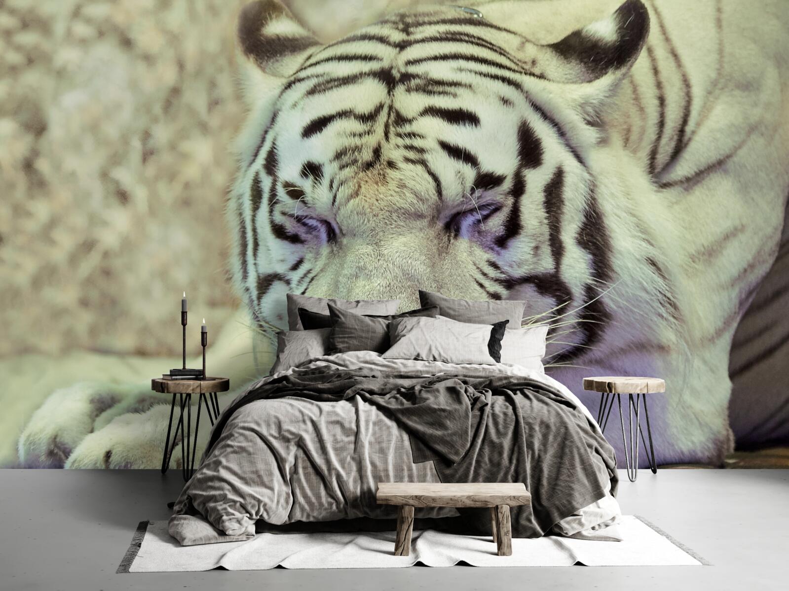 Papier peint tigre blanc dans un état de rêve