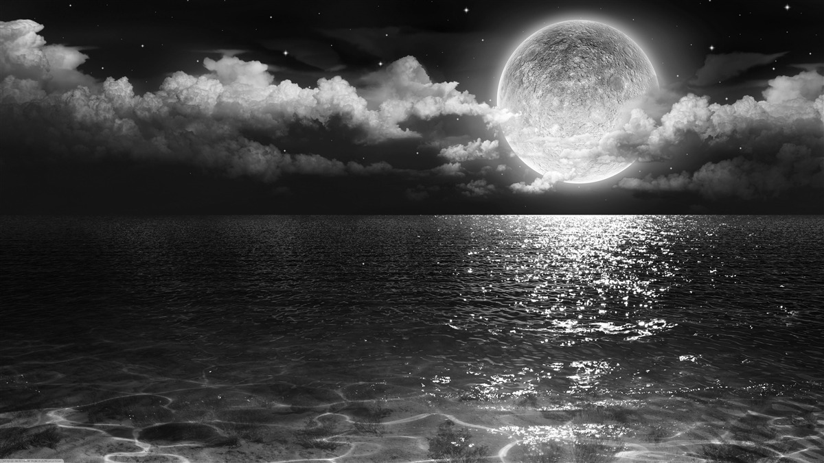 Papier peint rivage calme la nuit