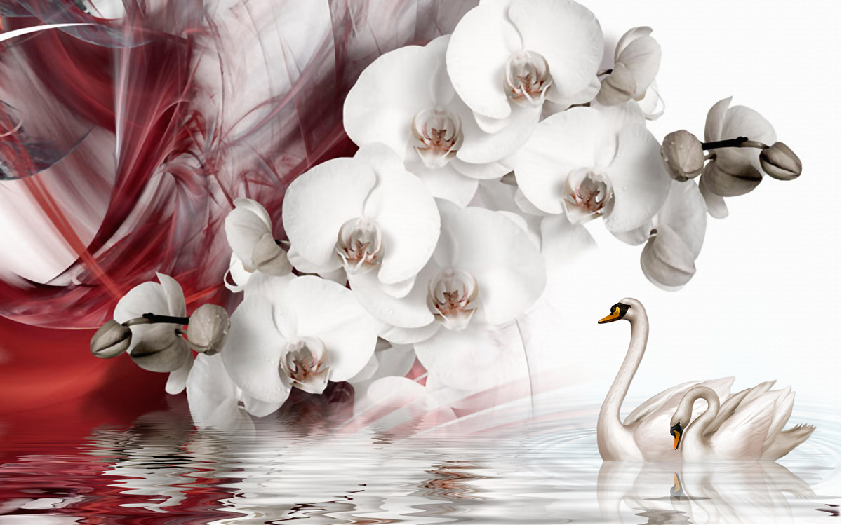 Papier peint orchidées à bourgeons blancs près d'un étang avec des cygnes